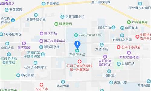 石河子二手车集市在哪办牌照,石河子二手车集市在哪办